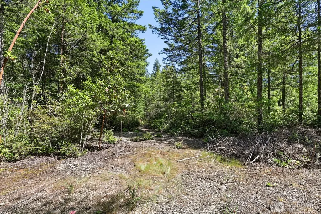 6133 Blue Mountain Lane NW Seabeck WA 98380