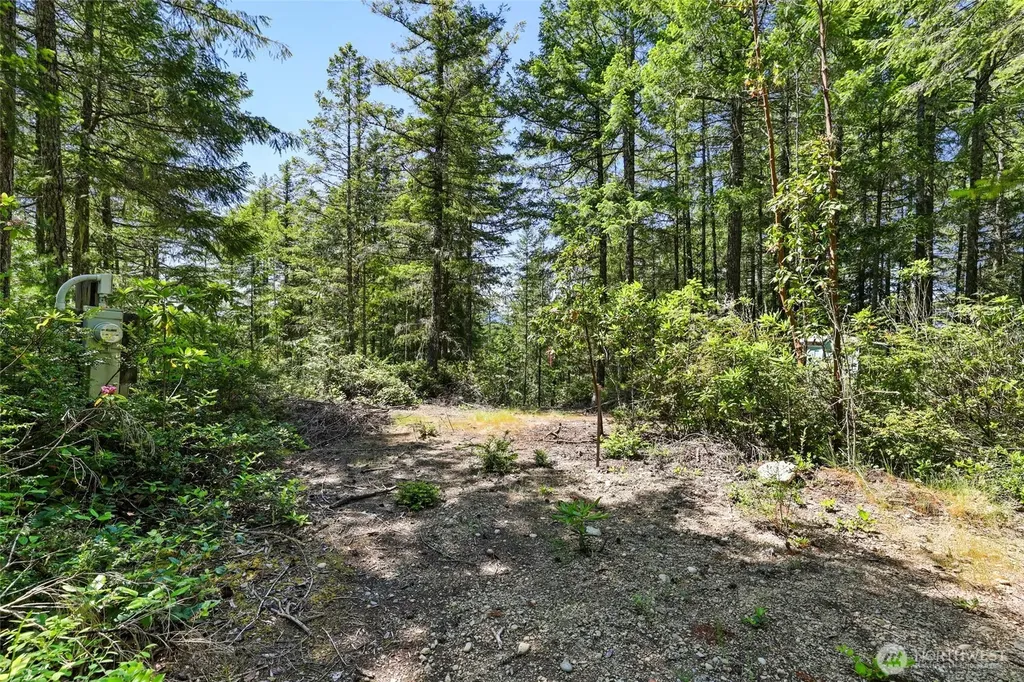 6133 Blue Mountain Lane NW Seabeck WA 98380
