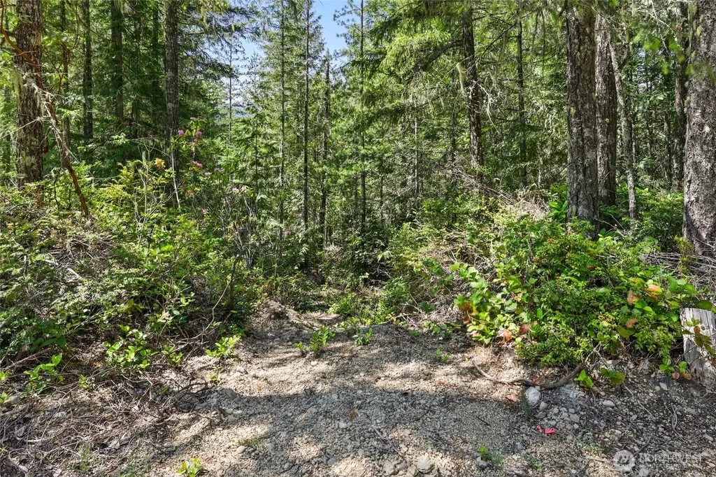 6133 Blue Mountain Lane NW Seabeck WA 98380