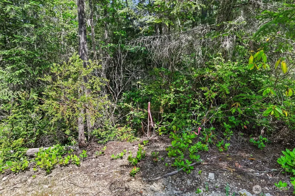 6133 Blue Mountain Lane NW Seabeck WA 98380