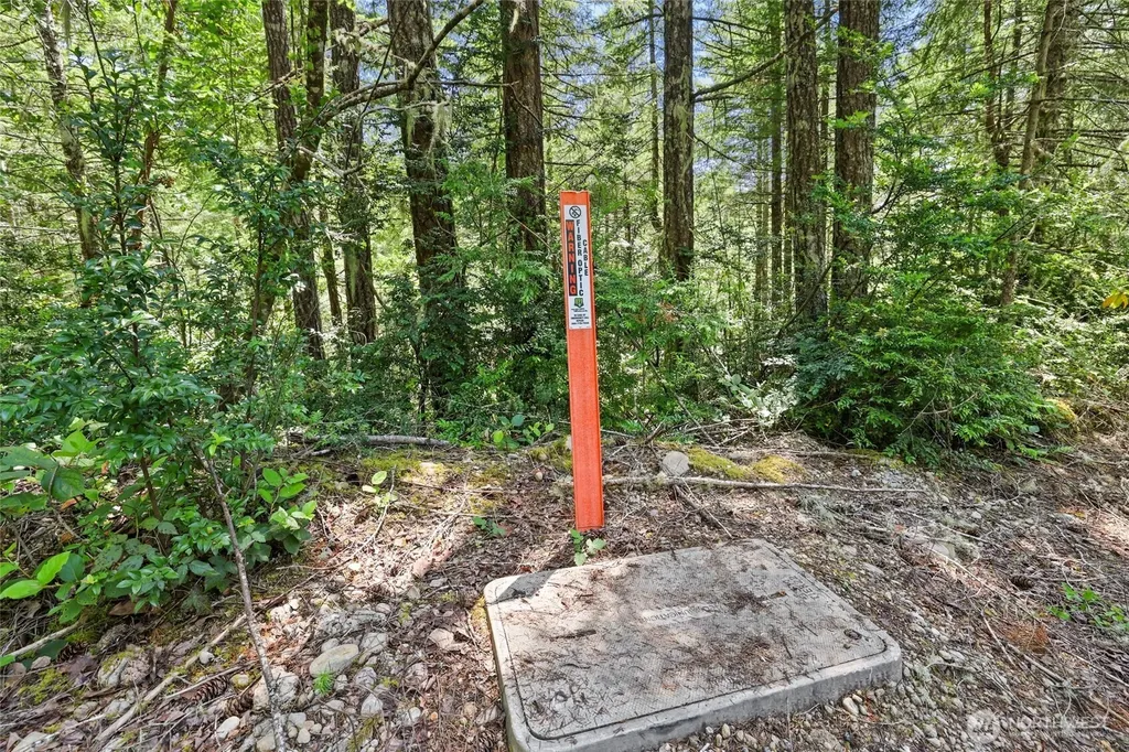 6133 Blue Mountain Lane NW Seabeck WA 98380