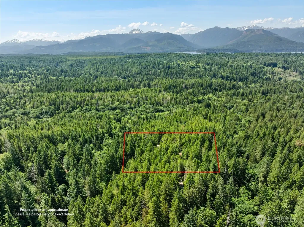 6133 Blue Mountain Lane NW Seabeck WA 98380