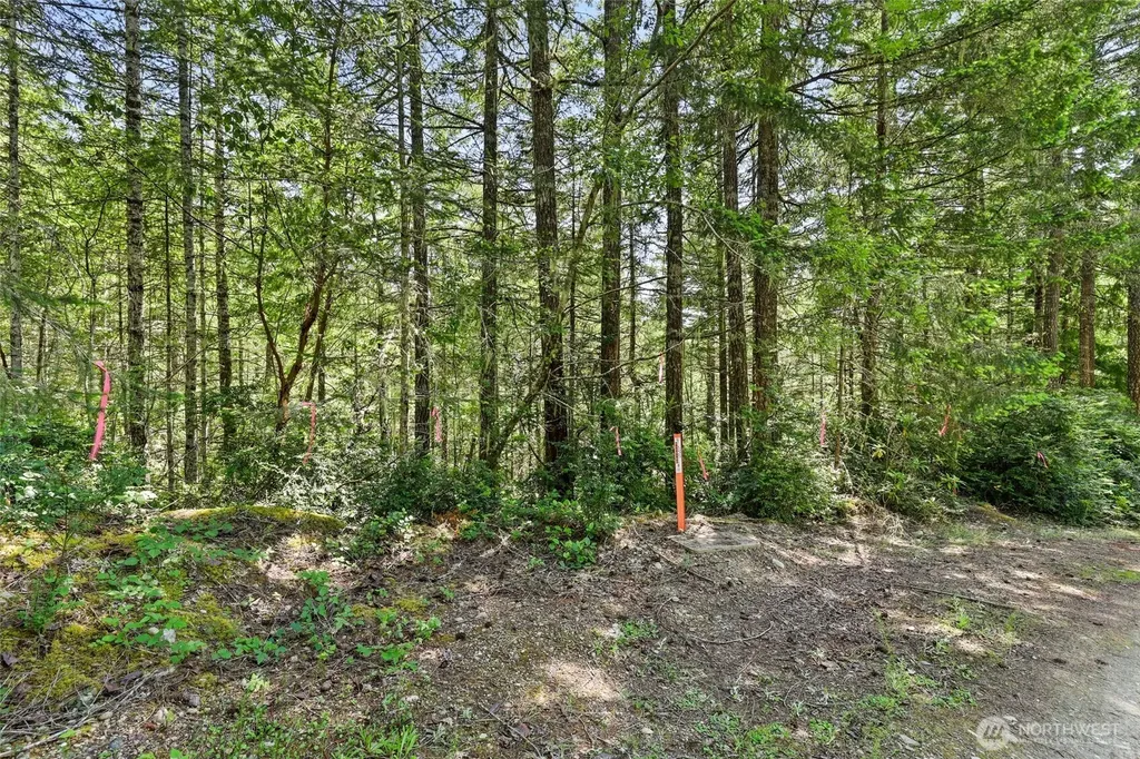 6133 Blue Mountain Lane NW Seabeck WA 98380