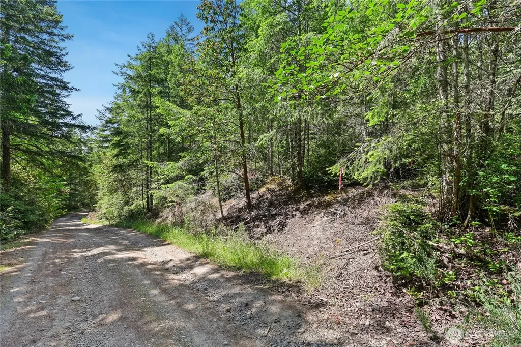 6133 Blue Mountain Lane NW Seabeck WA 98380