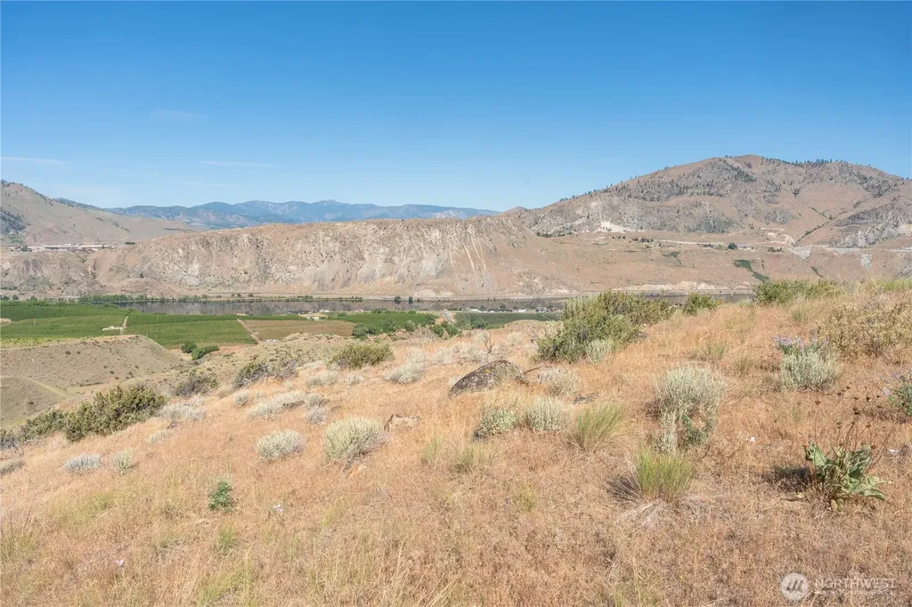 0 Tract 6 Mcneil Canyon Road Orondo WA 98816