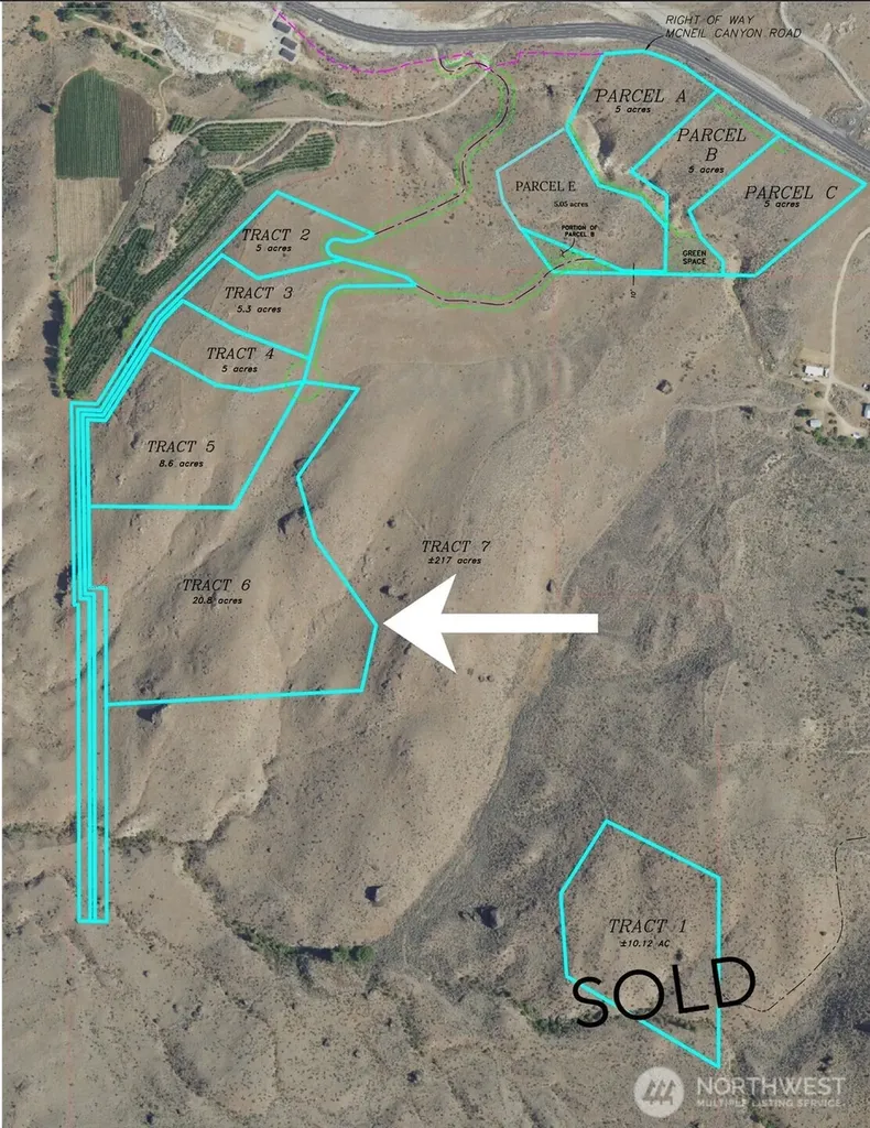 0 Tract 6 Mcneil Canyon Road Orondo WA 98816
