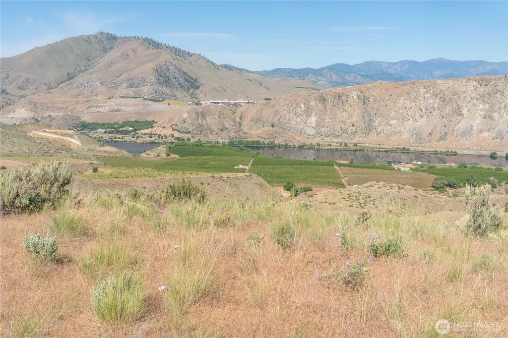0 Tract 6 Mcneil Canyon Road Orondo WA 98816