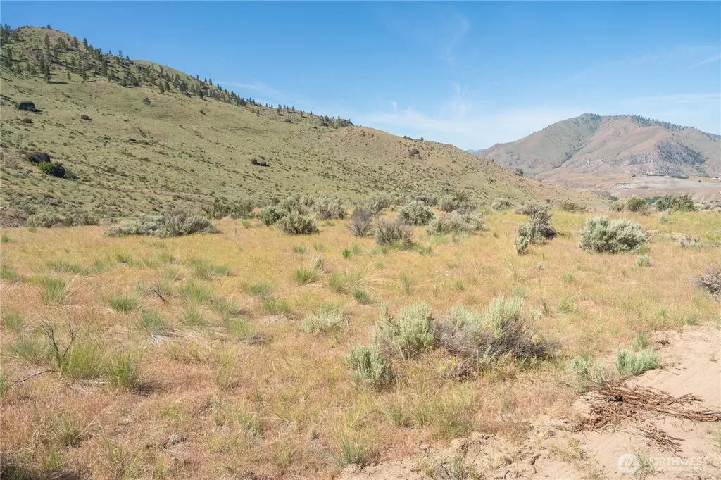 0 Tract 6 Mcneil Canyon Road Orondo WA 98816