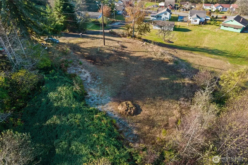 0 X Morris Street Raymond WA 98577