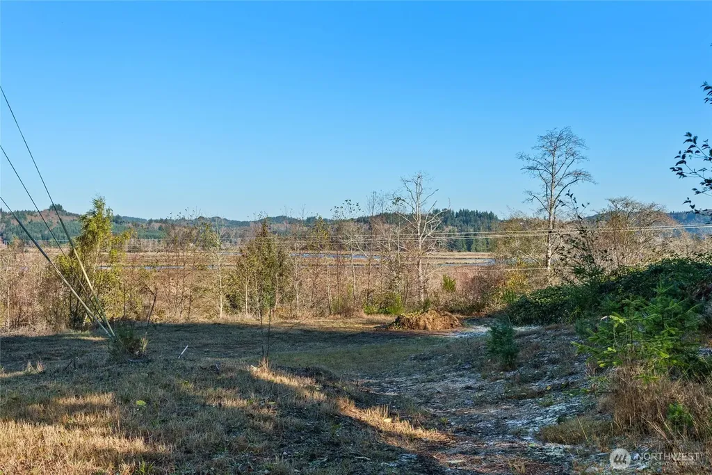 0 X Morris Street Raymond WA 98577