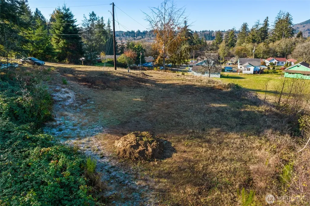 0 X Morris Street Raymond WA 98577