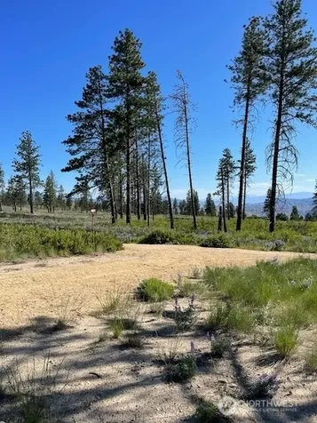 0 4xx Harmony Heights Road Brewster WA 98812
