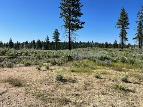 0 4xx Harmony Heights Road Brewster WA 98812