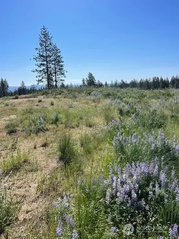 0 4xx Harmony Heights Road Brewster WA 98812