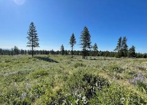 0 4xx Harmony Heights Road Brewster WA 98812