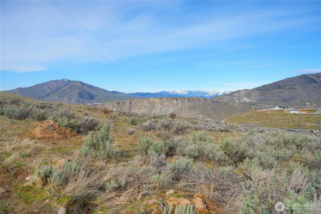 0 Tract 2 Mcneil Canyon Road Orondo WA 98816