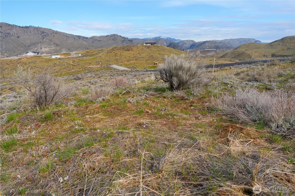 0 Tract 2 Mcneil Canyon Road Orondo WA 98816