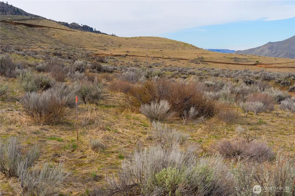 0 Tract 2 Mcneil Canyon Road Orondo WA 98816