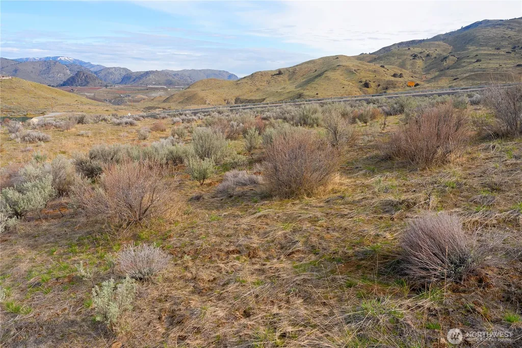 0 Tract 2 Mcneil Canyon Road Orondo WA 98816