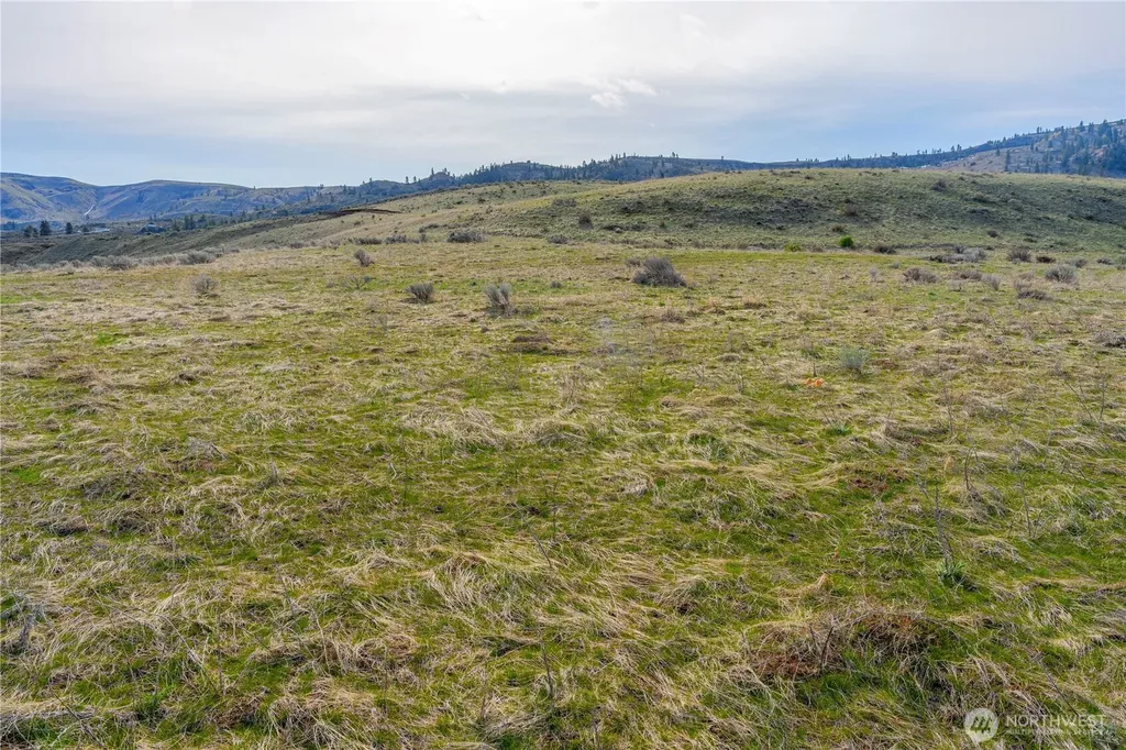 0 Tract 2 Mcneil Canyon Road Orondo WA 98816