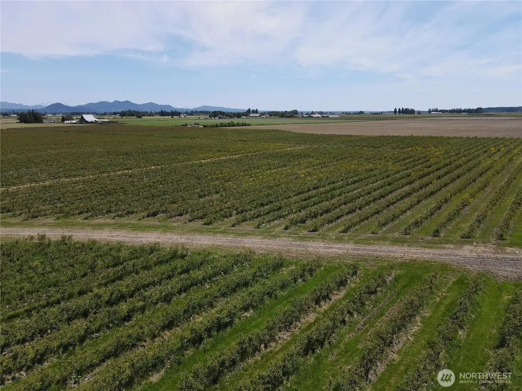 0 Young Road Mount Vernon WA 98273