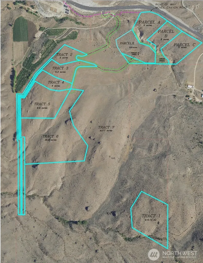 0 Tract 4 Mcneil Canyon Orondo WA 98816