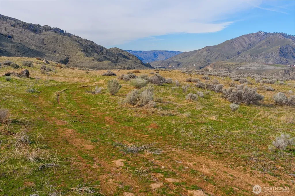 0 Tract 4 Mcneil Canyon Orondo WA 98816
