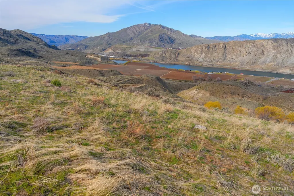 0 Tract 4 Mcneil Canyon Orondo WA 98816