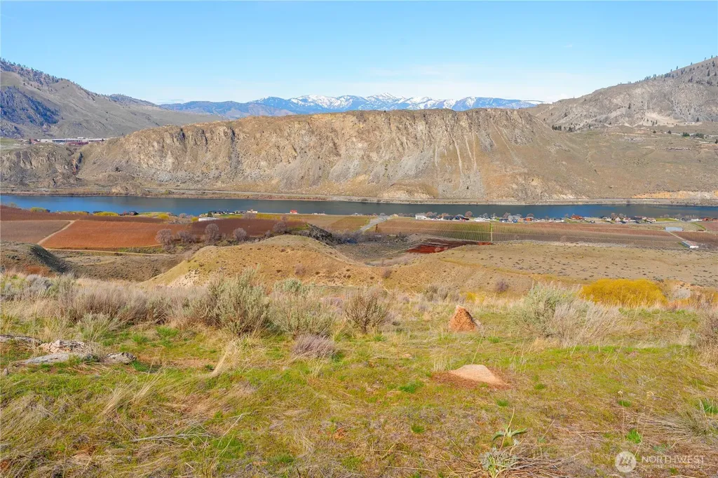 0 Tract 5 Mcneil Canyon Road Orondo WA 98816