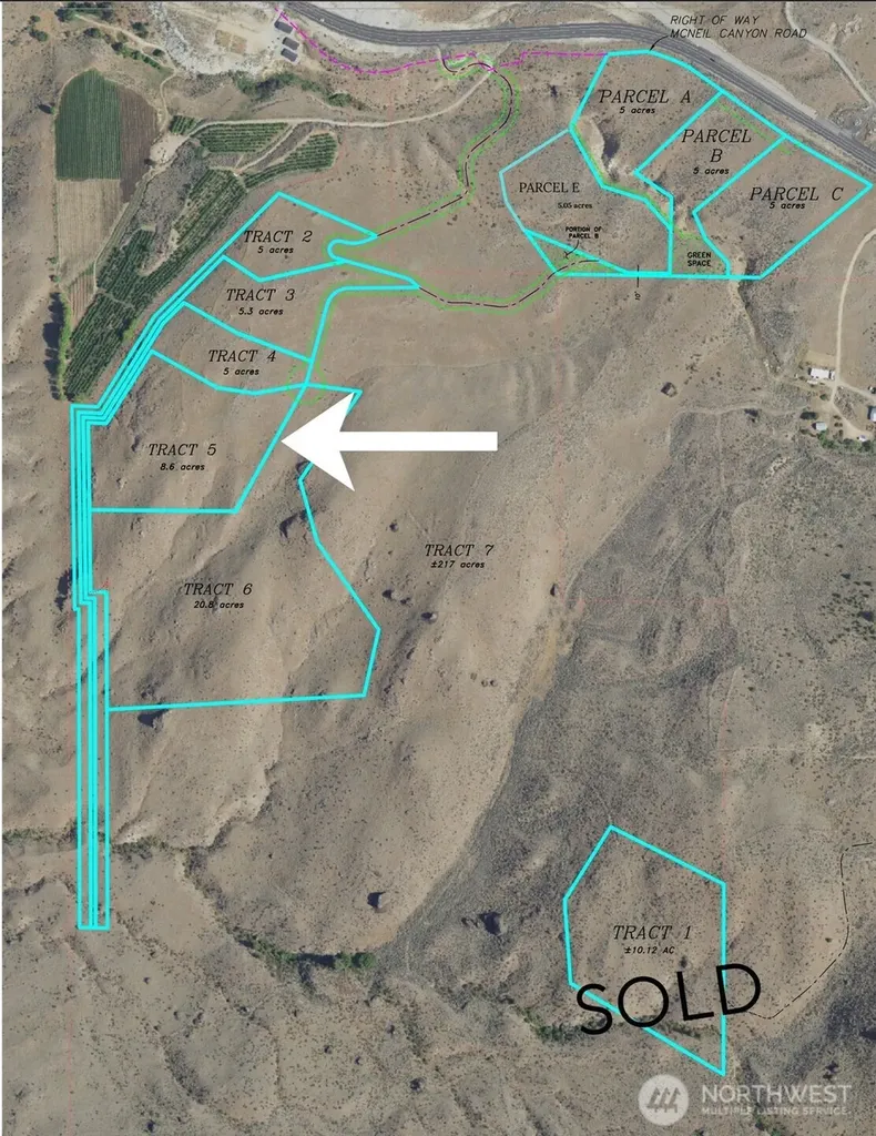0 Tract 5 Mcneil Canyon Road Orondo WA 98816
