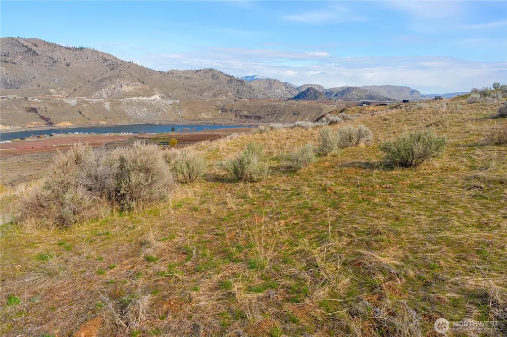 0 Tract 5 Mcneil Canyon Road Orondo WA 98816