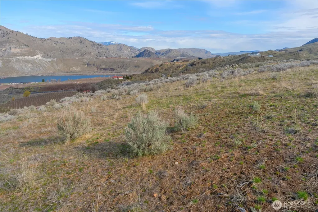 0 Tract 5 Mcneil Canyon Road Orondo WA 98816