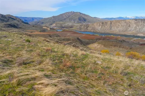 0 Tract 5 Mcneil Canyon Road Orondo WA 98816