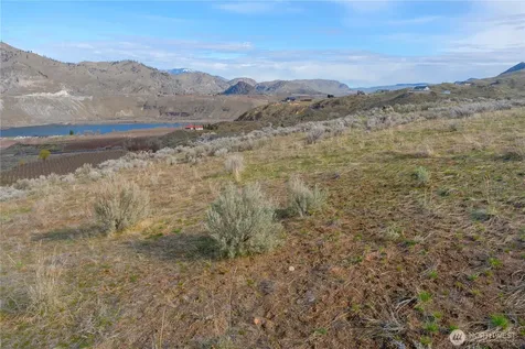 0 Tract 5 Mcneil Canyon Road Orondo WA 98816