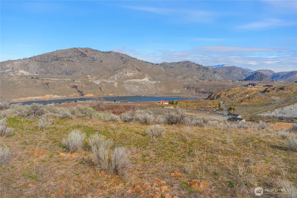 0 Tract 3 Mcneil Canyon Road Orondo WA 98816