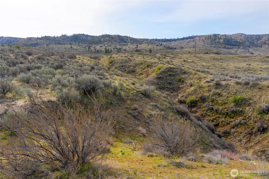 0 Tract 3 Mcneil Canyon Road Orondo WA 98816