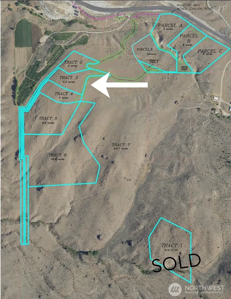 0 Tract 3 Mcneil Canyon Road Orondo WA 98816