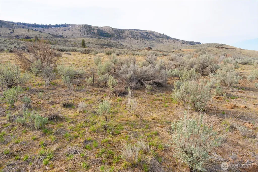 0 Tract 3 Mcneil Canyon Road Orondo WA 98816
