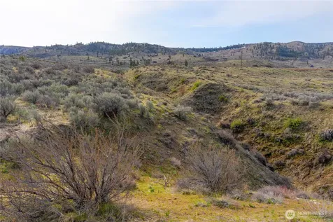 0 Tract 3 Mcneil Canyon Road Orondo WA 98816