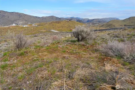 0 Tract 3 Mcneil Canyon Road Orondo WA 98816