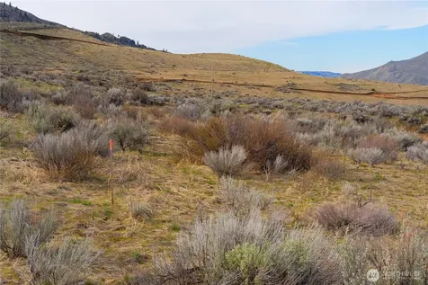 0 Tract 3 Mcneil Canyon Road Orondo WA 98816