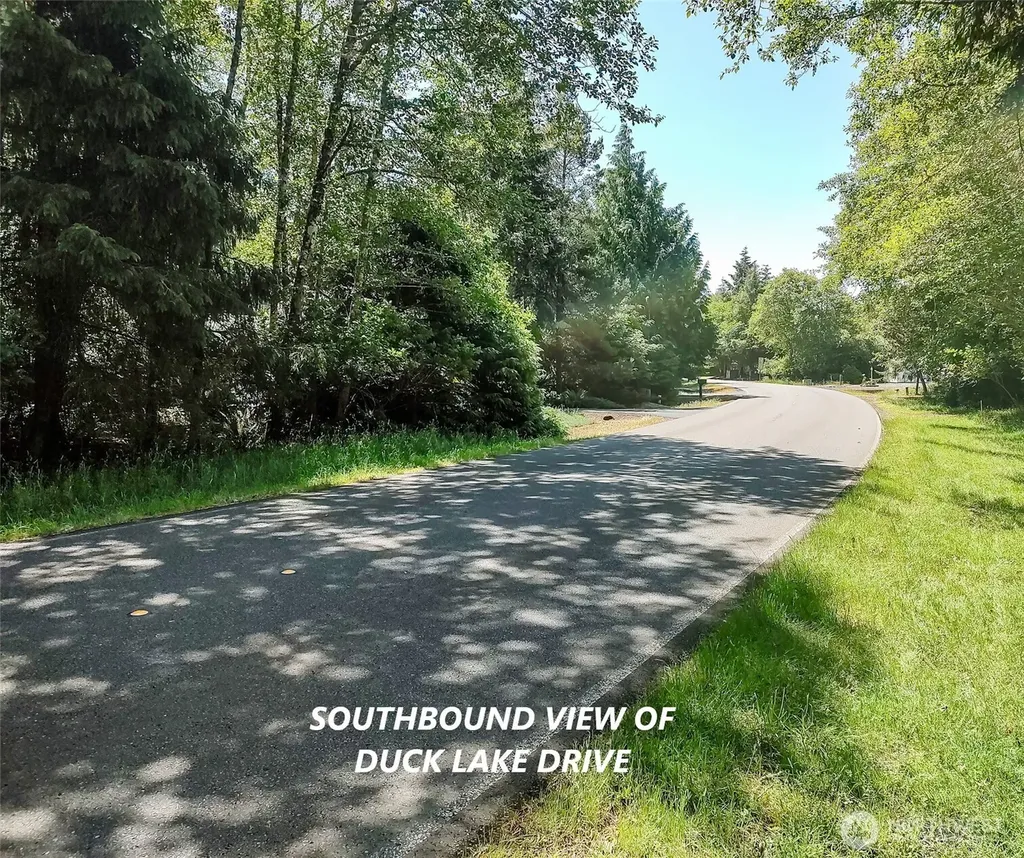 242 Duck Lake Drive NE Ocean Shores WA 98569