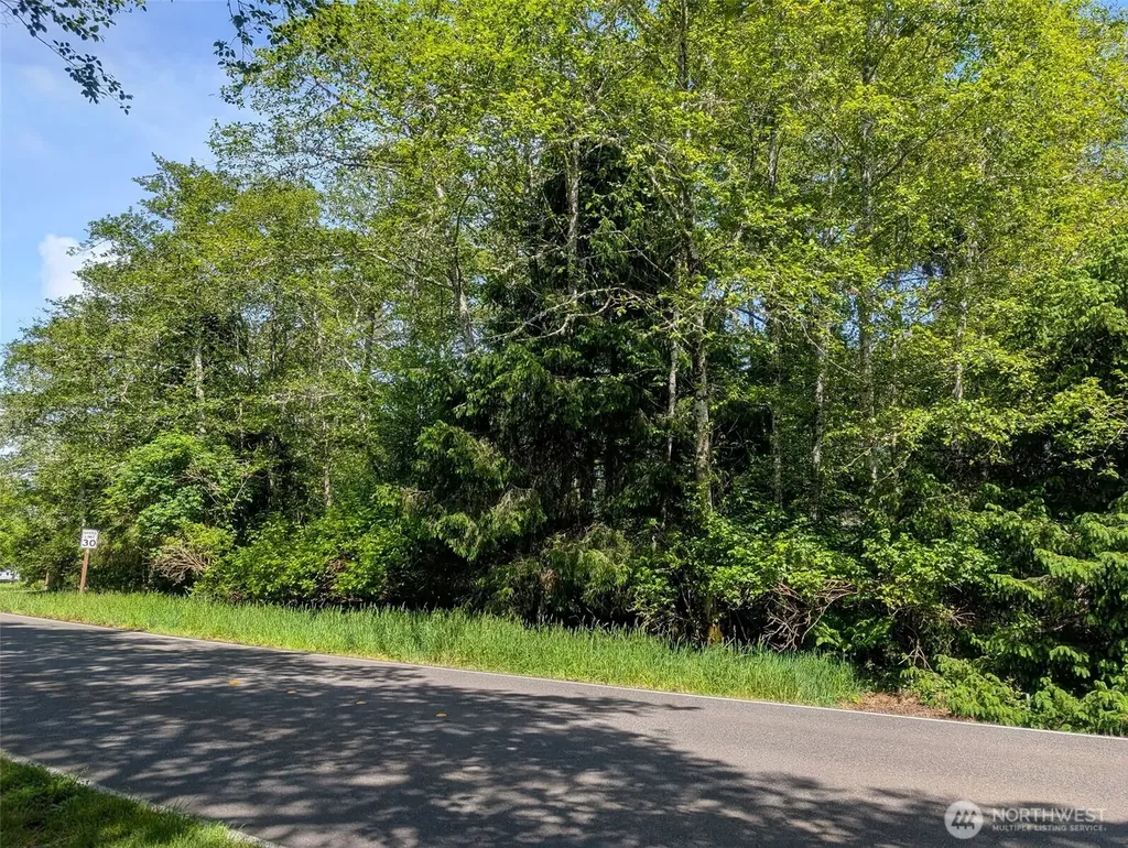 242 Duck Lake Drive NE Ocean Shores WA 98569