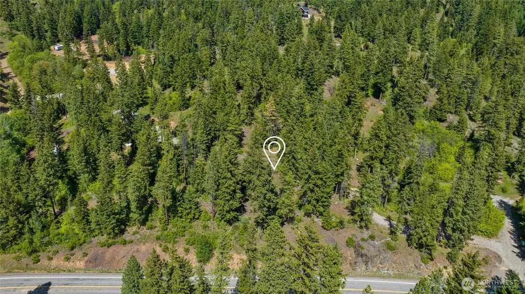 11 Salmon La Sac Highway Ronald WA 98940