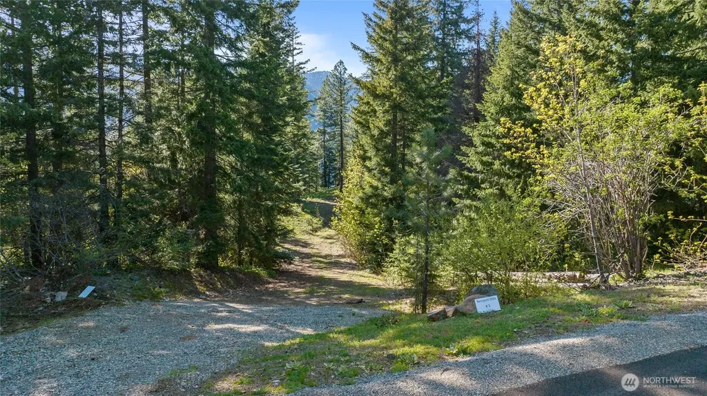 3 Newport Creek Loop Ronald WA 98940