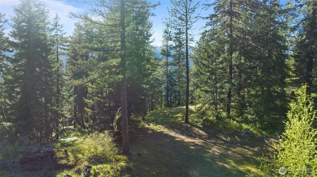 3 Newport Creek Loop Ronald WA 98940