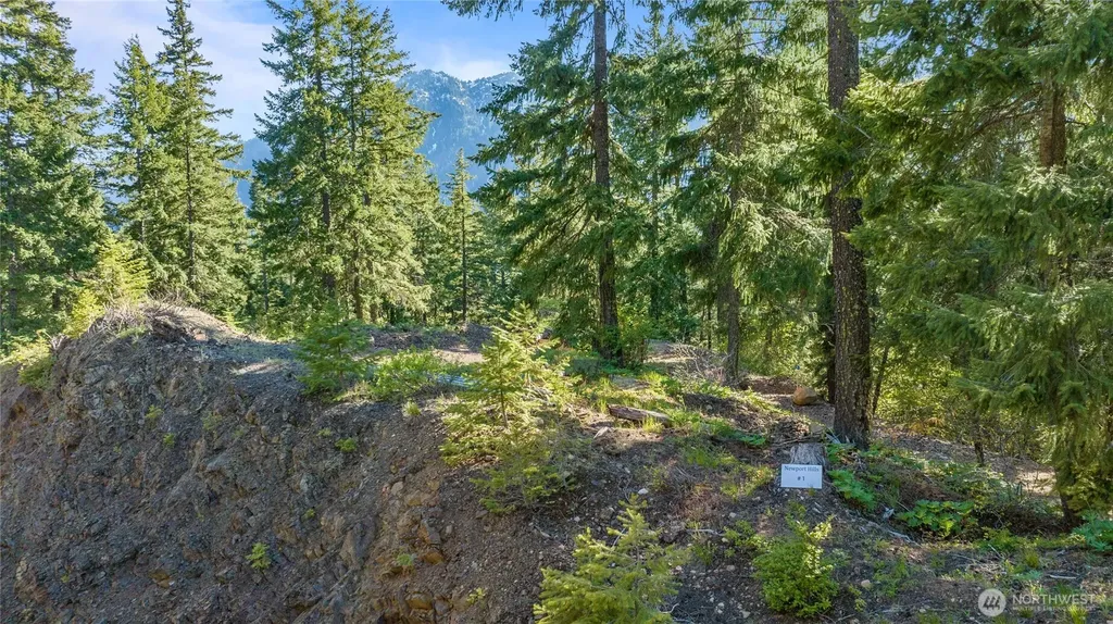 1 Newport Creek Loop Ronald WA 98940
