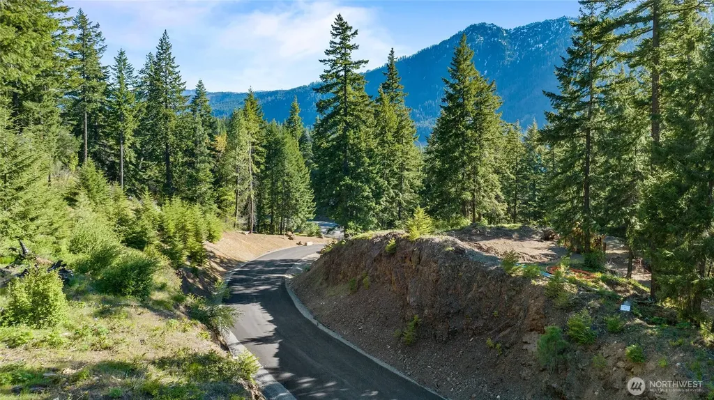 1 Newport Creek Loop Ronald WA 98940