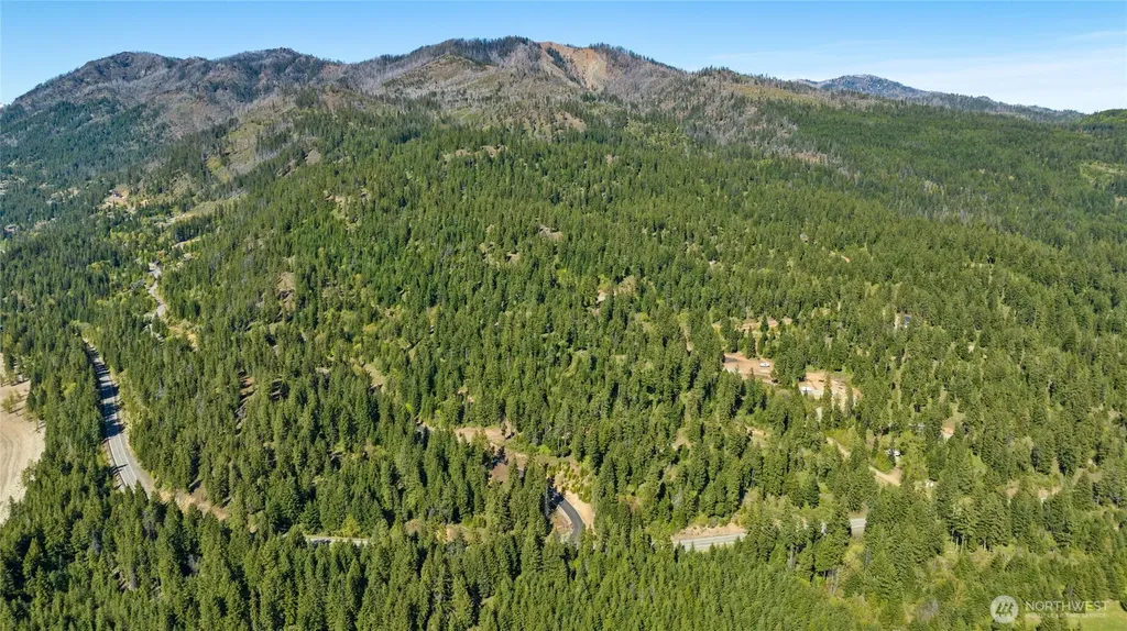 1 Newport Creek Loop Ronald WA 98940