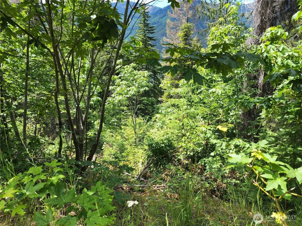 7 Newport Creek Loop Ronald WA 98940